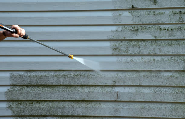 Best Deck Pressure Washing  in Daingerfield, TX