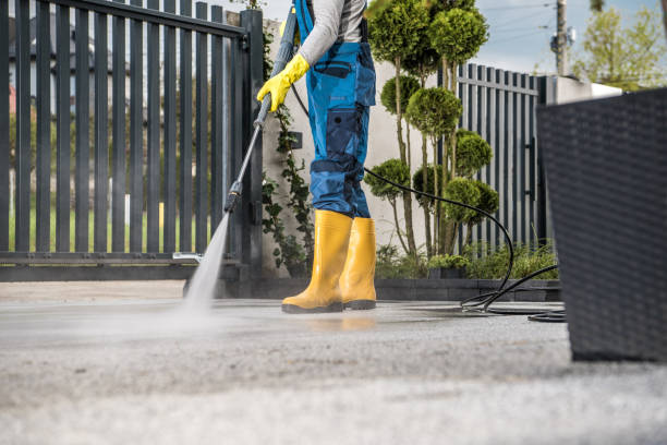 Best Roof Power Washing Services  in Daingerfield, TX