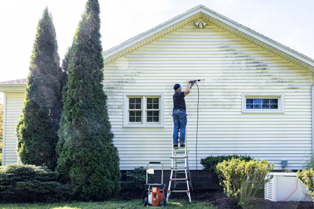 Why Choose Our Certified Pressure Washing Experts for Your Project Needs in Daingerfield, TX?