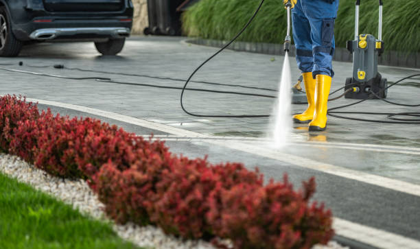 Best House Pressure Washing  in Daingerfield, TX