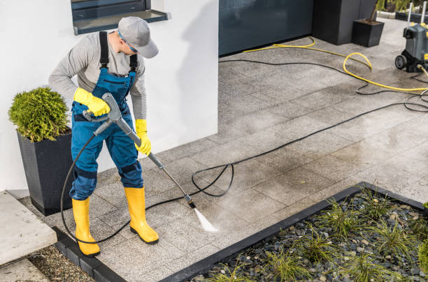 Best Roof Pressure Washing  in Daingerfield, TX
